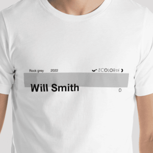 Will Smith slap t shirt
